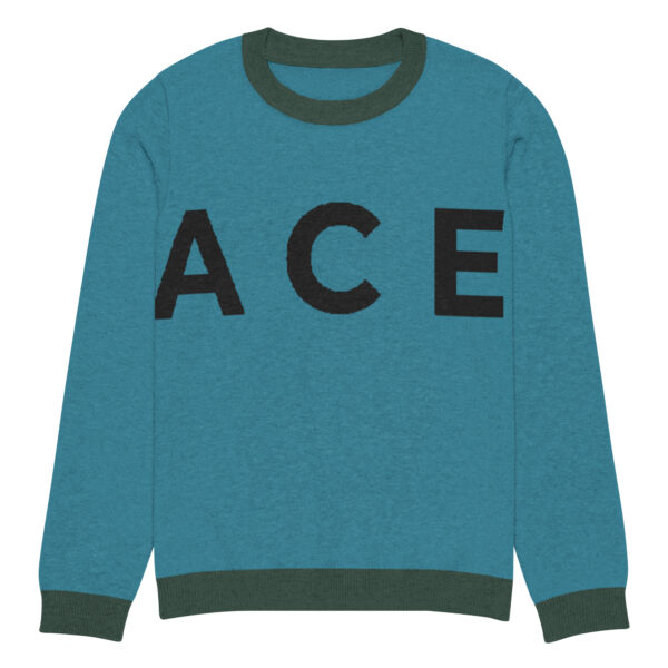 Jacee Men'sKnitted crew neck sweater - Image 15