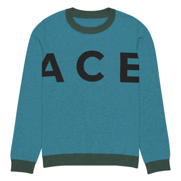 Jacee Men'sKnitted crew neck sweater - Image 9