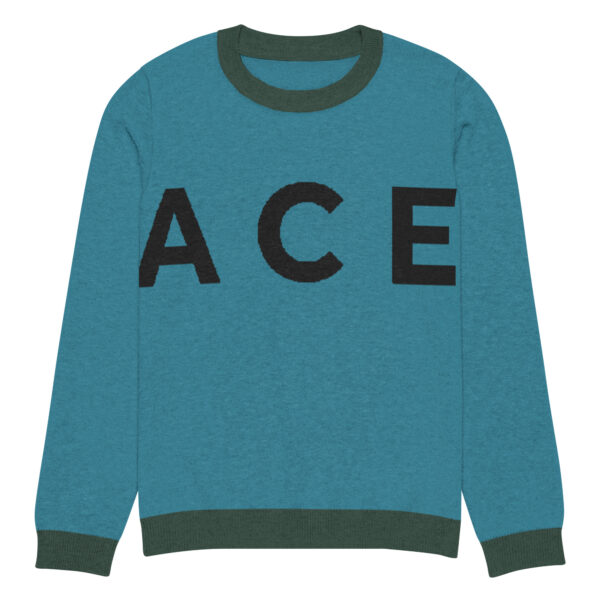 Jacee Men'sKnitted crew neck sweater - Image 13